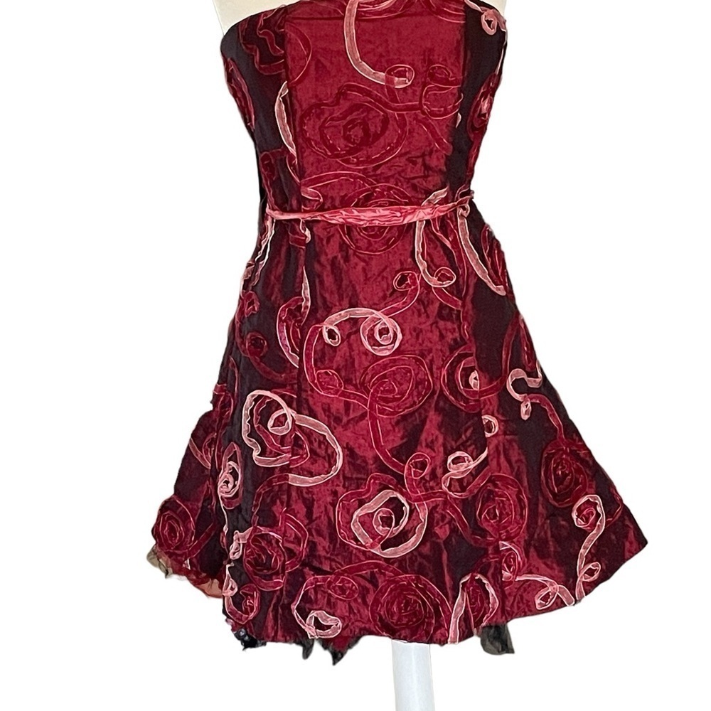 Jessica McClintock Women’s Strapless Ribbon Embroidered Tully dress Size 2